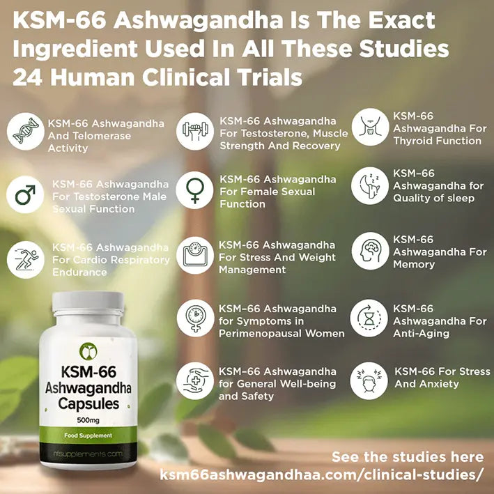 Ashwagandha KSM-66 - Helps The Body To Deal With Stress