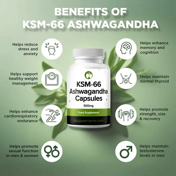 Ashwagandha KSM-66 - Helps The Body To Deal With Stress